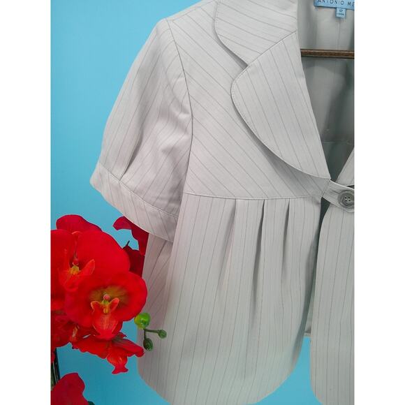 Antonio Melani Womens Light Gray Lined Pinstripe Cropped Jacket Coat Size 12 - Picture 3 of 7